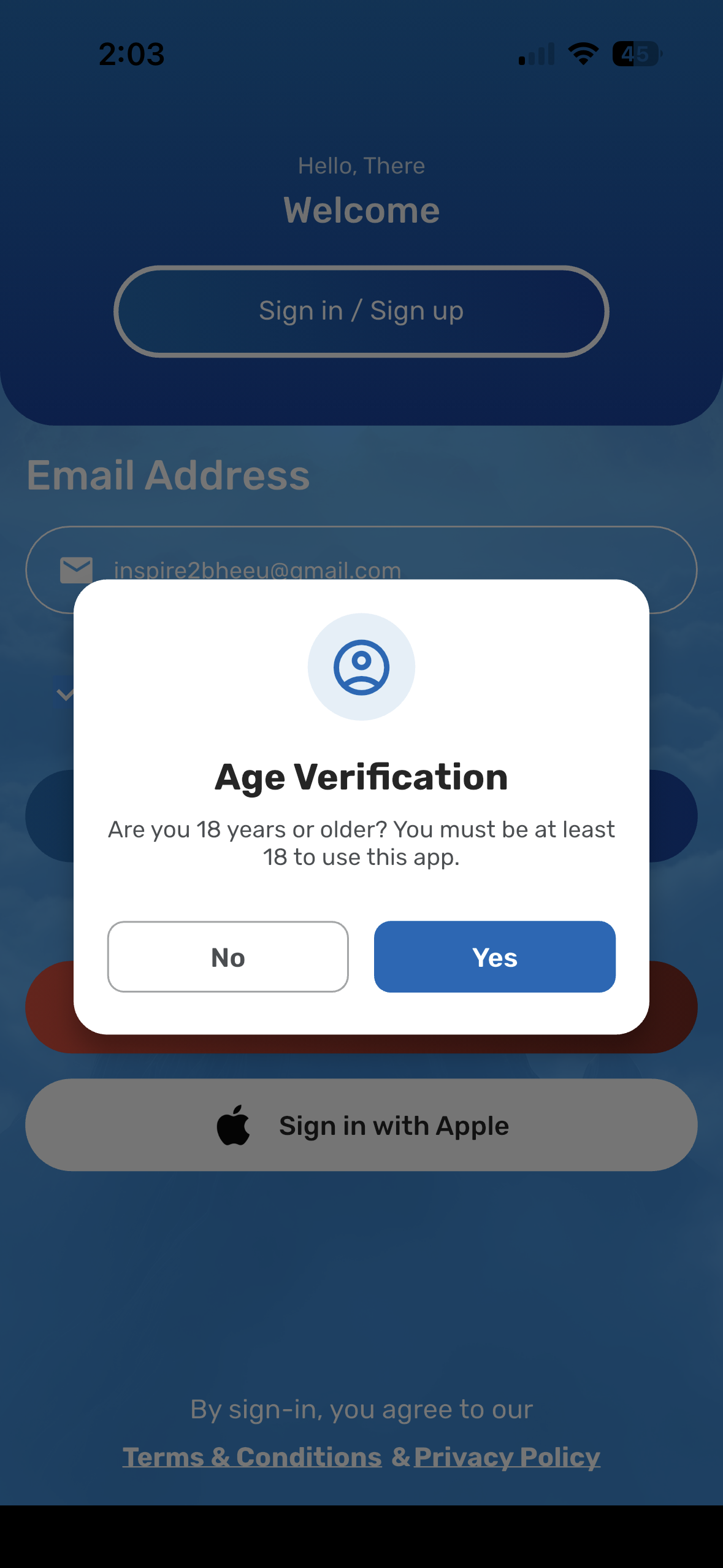 AnanaMUSTalk screenshot: Confirm you are 18 or older